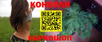 индика Обнинск