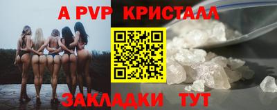 индика Обнинск