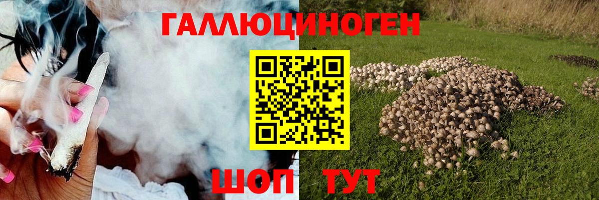 Галлюциногенные грибы мухоморы Нижний Тагил
