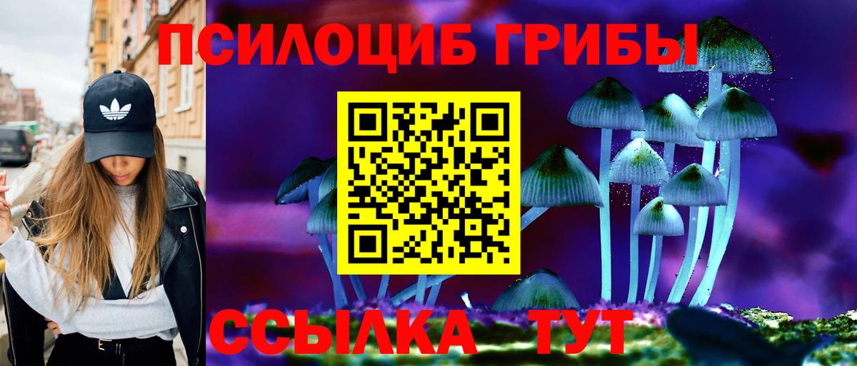 Галлюциногенные грибы мухоморы  закладка  Нижний Тагил  Вход с VPN 